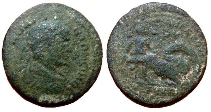 Magnesia ad Maeandrum BMC 59 Caracalla, AE30 of Magnesia ad Meandrum, Ionia