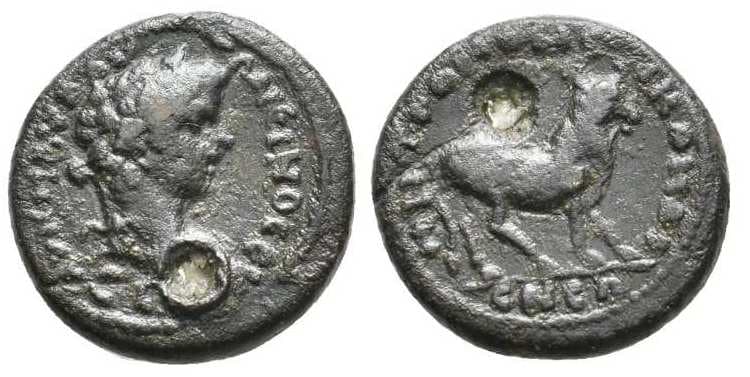 Nicomedia RecGen 243 Caracalla, AE, Nicomedia, Bithynia