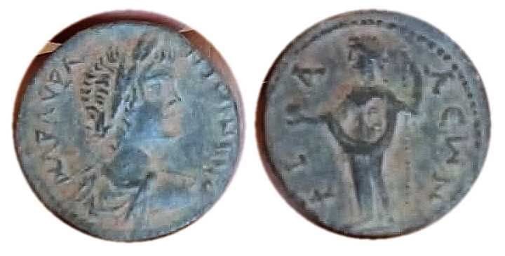 Phialea BCD 1656