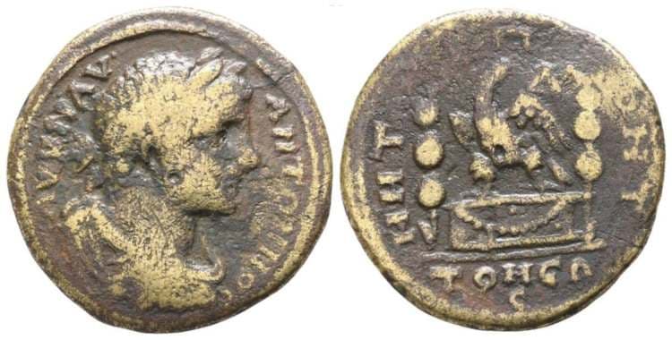Tomis AMNG 2909 Caracalla, AE26 of Tomis, Thrace