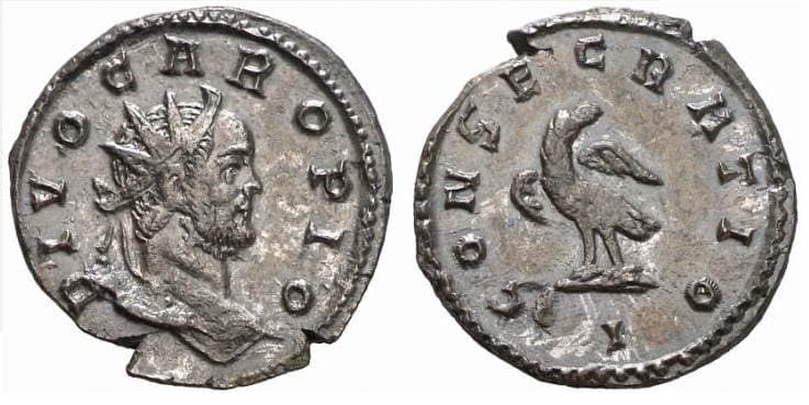 RIC 29 I Divus Carus AE Antoninianus