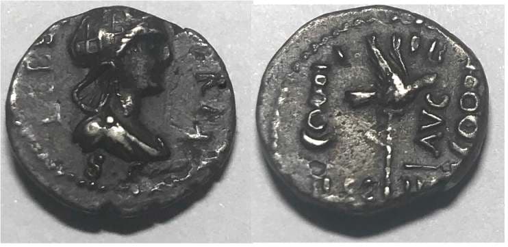 RIC 6 var Clodius Macer (or interim period before the civil war), AR denarius, 3