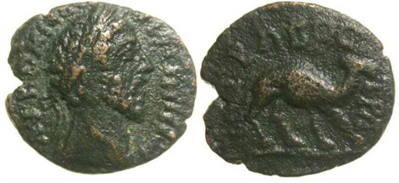 Bostra SNG ANS 1195 Commodus, AE17 of Bostra, Arabia Petraea