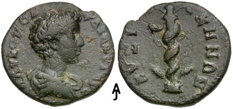 Kyzikos Aiello 119 Commodus, AE21 of Kyzikos, Mysia