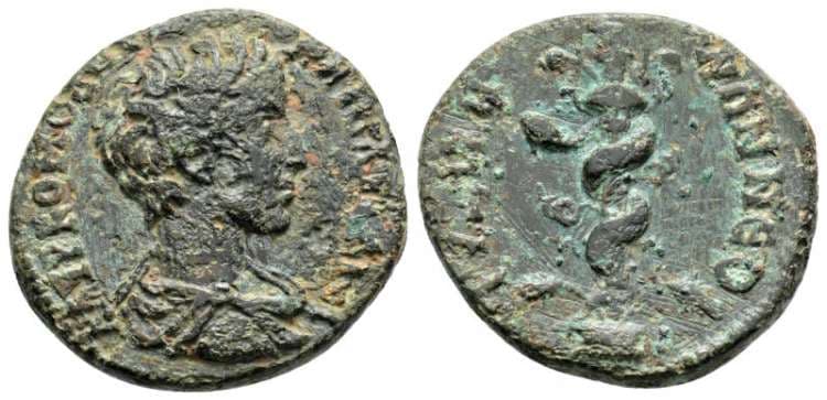 Kyzikos Scholz 53 Commodus, AE22 of Kyzikos, Mysia