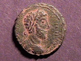 Neapolis Samaria Rosenberger 26 Commodus AE19 of Neapolis, Samaria