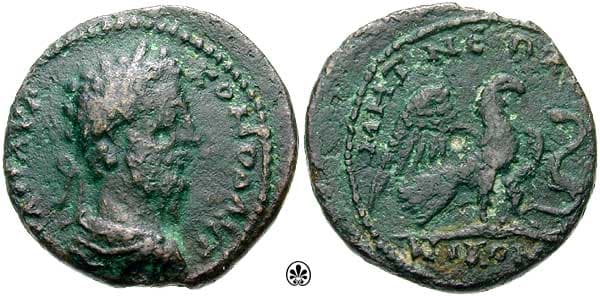 Nicomedia BMC 36 Commodus AE24mm of Bithynia, Nicomedia