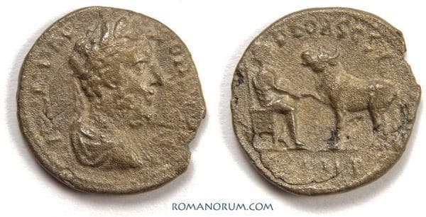 Parion BMC 104 Commodus AE20 of Parion, Mysia, 4
