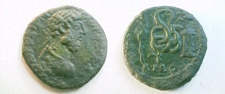 Pautalia Ruzicka 224 Commodus AE23 of Pautalia, Thrace