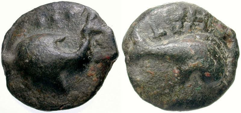 Vecchi 184 Picenum, Hatria