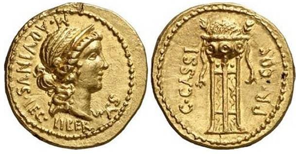 Cassia 12 C