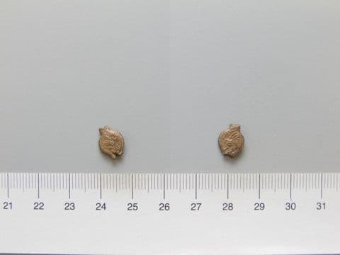 Coin of Vologases III, from Seleucia ad Tigrim, Yale University Art Gallery, inv. 1938.6000.2028