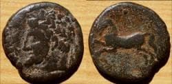 KINGS OF NUMIDIA. AE Unit. Massinissa or Micipsa. 148-118 BC.
