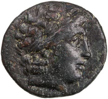Seleucid Coins (part 1) 520.1