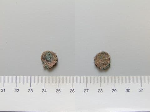Aureus