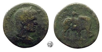 Nicaea RecGen 516 Caracalla, AE28, Nicaea, Thrace, Laureate and draped bust right / Elephant and rider right